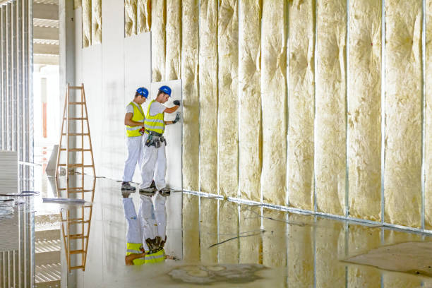 Best Insulation Maintenance and Repair in , NH